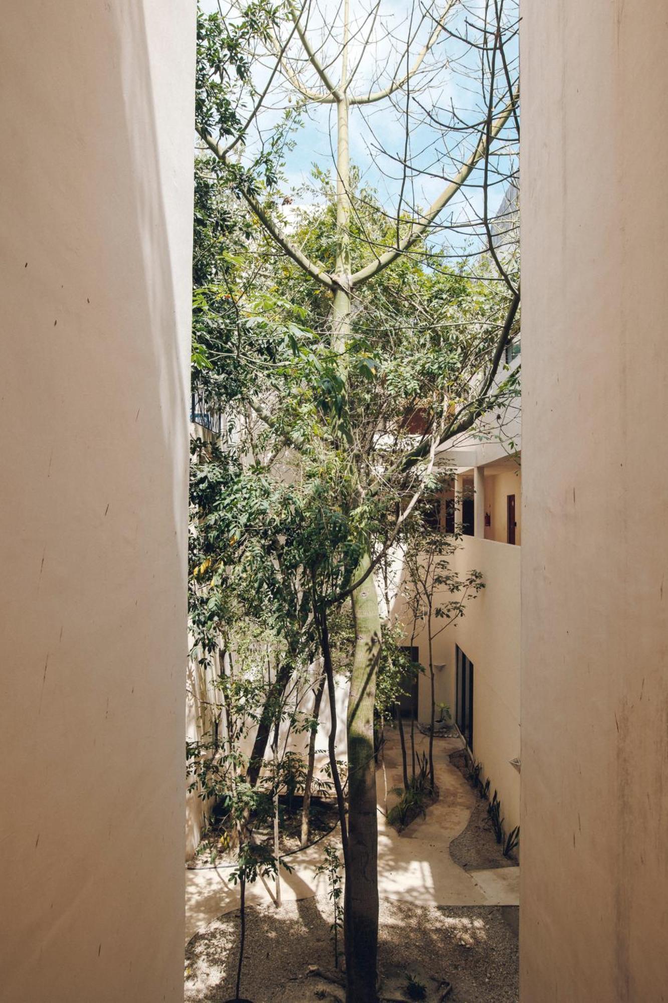 2 Bikes Free Exlusive Building Close To The Sea Tulum Exterior foto